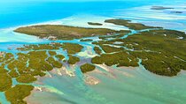 Six Fins Private Key West Eco Tour – Wildlife Refuge Adventure