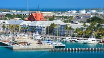 Six Fins Key West Harbor Cruise – Private Scenic Boat Tour