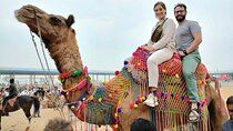 8-Day Golden Triangle & Rajasthan Private Luxury Tour from Delhi