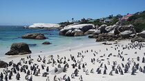 Cape of good hope, Cape Point & Seal Island - Full Day Tour