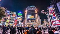 Tokyo Private Night Tour by Car/Van - English speaking chauffeur