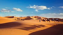Shared 4D3N Desert from Marrakech to Merzouga (2D stay in Desert)