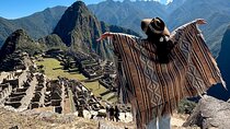 Machu Picchu Day Tour by Sightseeing Train from Cusco