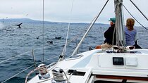 Monterey Private 3 - 4 Hour Whale Watching Cruise
