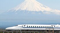 Bullet Train Experience & Mishima Shrine Private Tour from Tokyo 