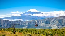 Private Tour to Mount Fuji & Hakone with Gotemba Outlets English