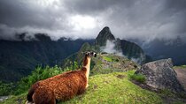 From Cusco: Machu Picchu Full-Day Group Tour