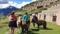 Hiking and Textile Workshop (Cuzco): ANDEAN COLORS