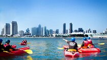 San Diego Bay 1.5-Hour Guided Kayak Tour in Coronado