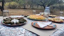 Heraklion:Olive & Dragon Fruit Farm Tour & Cretan Farmers Brunch
