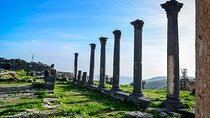 2-Night Jordan Private Tour: Jerash, Ajloun, Wadi Rum, and Dead Sea