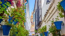 Excursion to Córdoba from Malaga