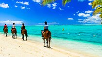 Full day Mauritius Tour with Horse riding and Lunch