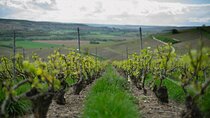 Not Your Average Champagne Tour - Day Trip From Paris (Private)