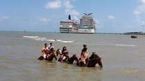 Horse Tours on the Beach and Mountains in Puerto Plata