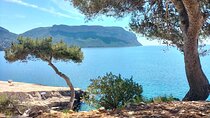 Mediterranean Dolce Vita : Cassis, Calanques Boat Ride & Wines