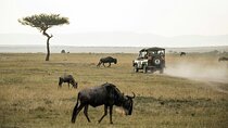 7 Days from Nairobi to Amboseli, Naivasha, Nakuru, Masai and Mara