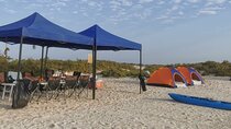 Full Day Camping in Daymaniyat Islands