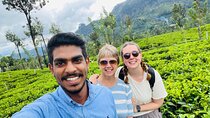 Discover Sri Lanka with Tailored Tours for Timeless Memories