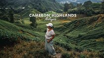  Cameron Highland Day Tour From Kuala Lumpur By Group