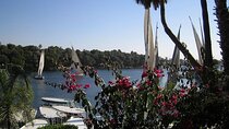 Aswan private tour: Felucca Ride & Botanical Garden 