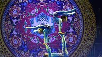 Beijing Acrobatic Show in Red Theater with Guide and Transfer