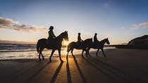 SoulRide: Horseback & Mindful Escape in Kissamos