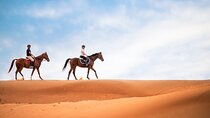 Doha Horseback Riding Adventure in Desert with Transport 