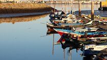 Private tour to discover the Ria de Aveiro!