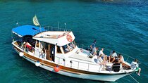 Private whole day Kornati National Park Boat Tour and snorkeling