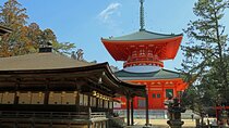Day Trip Sacred Sites at Koyasan from Osaka