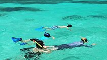Snorkeling Water Private Activity In Montego Bay Jamaica