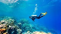 Scuba Diving in Alanya