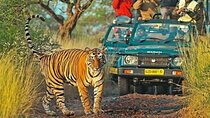 7 Days Private Golden Triangle and Ranthambore Tour
