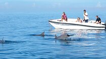 Private Speedboat with Private Hotel Transfer in Sharm El Sheikh