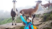 Classic Inca Trail to Machu Picchu 4 Days