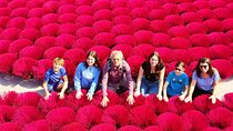 Hanoi to Incense Village and Ninh Binh Day Tour Small Group of 9
