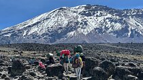 7 Days Kilimanjaro Trekking Machame Route