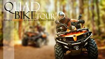 Quad Safari