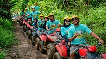 Coffee Plantation All Inclusive Ubud ATV, Rice Terrace with Lunch