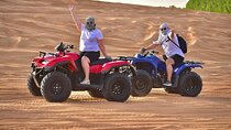 Dubai Desert Safari: Quad Bike, Sandboard, Camel Ride and BBQ