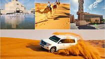 City Tour and Desert Safari with Camel Ride and Sand Boarding