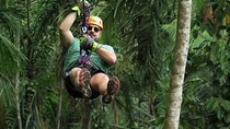 Gamboa Tree Trek Zip Line Adventure in Panama
