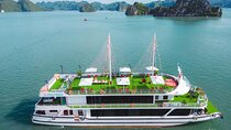 Best Halong Bay Tour One Day On Luxury Cruise 6 Hours Cruising