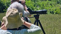 7 Day Trip - Birdwatching in Albania 