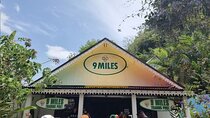 Half Day Trip to Bob Marley Museum in Nine Mile