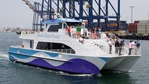West Harbor LA 45-Minute Narrated Harbor Cruise of San Pedro