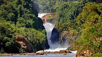 2 Days Tour to Murchison Falls National Park