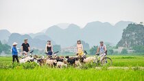 Small Group of 11 Discover Ninh Binh: Hoa Lu, Tam Coc, Mua Caves