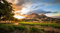  Cape Winelands From Cape Town Private Day Tour